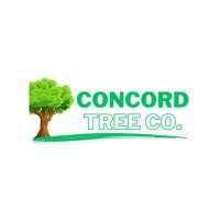 Concord Tree Co. image 1