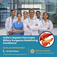 Best Hepato Pancreato Biliary Surgeons in India image 1