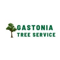 Gastonia Tree Service image 1