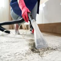 Breeze Carpet & Upholstery Cleaning image 1