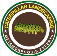 Caterpillar Landscaping image 1