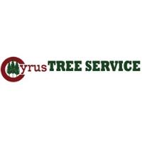 Cyrus Tree Service image 1