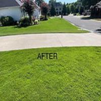 Altan's Lawncare and Pressure Washing image 2