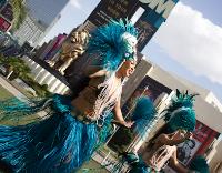 Mahana Dance Company (Hawaiian/Hula Dancers) image 1