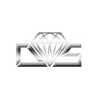 Diamond Auto Salon LA / PPF, Tinting & Car Wraps image 1