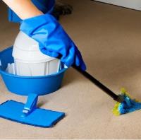 Phoebe's Cleaning Company image 3
