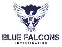 Blue Falcons Investigation image 1