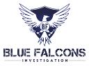 Blue Falcons Investigation logo
