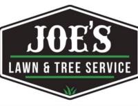 Joe's Lawn and Tree Service image 1