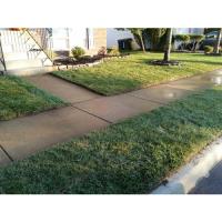Reliable Lawn Care image 2