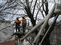 Strong Tree Services image 15