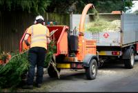 Strong Tree Services image 16
