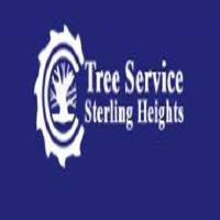 Strong Tree Services image 1