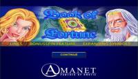 Book of Fortune Slot image 2