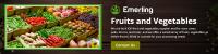 Emerling Foods image 3