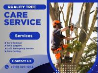 Tree service in Fremont image 3