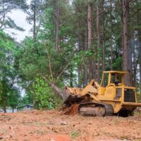 Affordable Tree Service Charlotte image 4