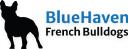 Bluehaven French Bulldogs logo