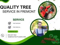 Tree service in Fremont image 1