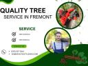 Tree service in Fremont logo