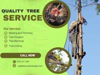 Tree service in Fremont image 2