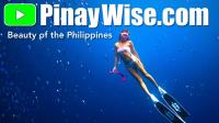 PinayWise.com image 7
