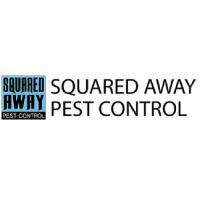 Squared Away Pest Control image 3