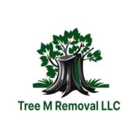 Tree M Removal LLC image 11