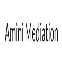 Amini Mediation image 1