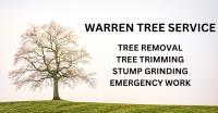 Warren Tree Service image 3
