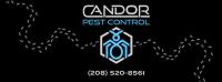 Candor Pest Control image 1