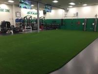 WinterGreen Synthetic Grass image 3