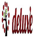 Deluxe Windows logo
