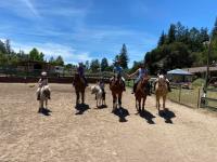 Scotts Valley Equestrian LLC image 1