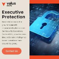Valus Security image 1