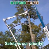 Heartwood Tree Service image 2