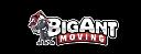 Big Ant Moving logo