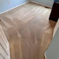 Greenland Carpet Cleaning image 4