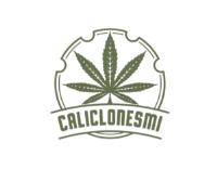 Cannabis Clones Online image 1