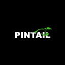 PINTAIL D&C Inc. logo