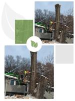 NWI Tree Service & Landscaping image 2