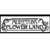 Moreton's Flowerland image 1