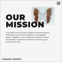Mission Morph image 7