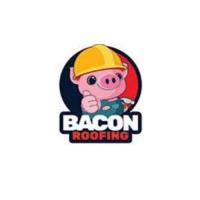 Bacon Roofing image 1