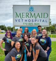 Mermaid Vet Hospital image 5