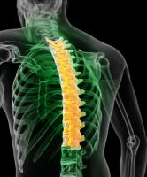 New York Orthopaedic Spinal Associates image 2