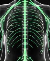 New York Orthopaedic Spinal Associates image 9