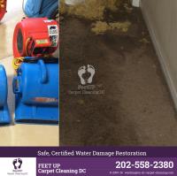 Feet Up Carpet Cleaning DC image 10