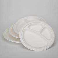 China P012 9x3 Disposable Bagasse Plate Supplier image 1
