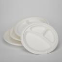 China P012 9x3 Disposable Bagasse Plate Supplier logo